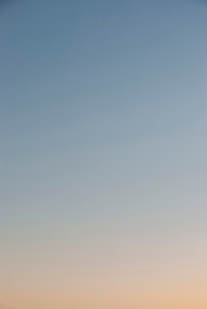 20210416-DSC_4495 copy