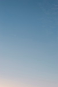 20210627-DSC_5659,5660,5961-Edit - Copy copy