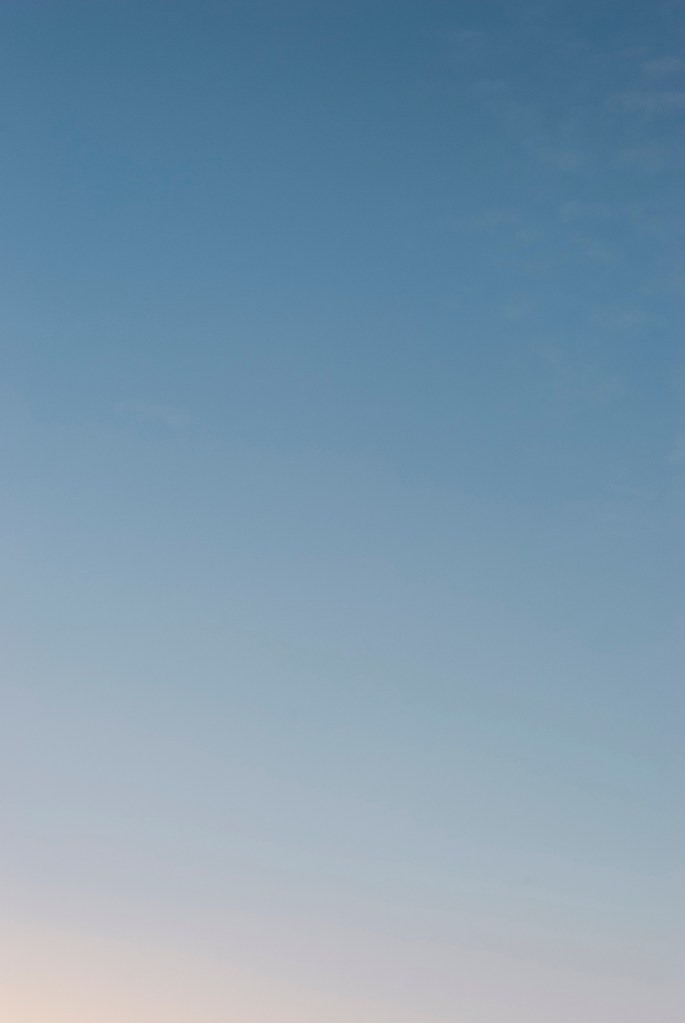 20210627-DSC_5659,5660,5961-Edit - Copy copy