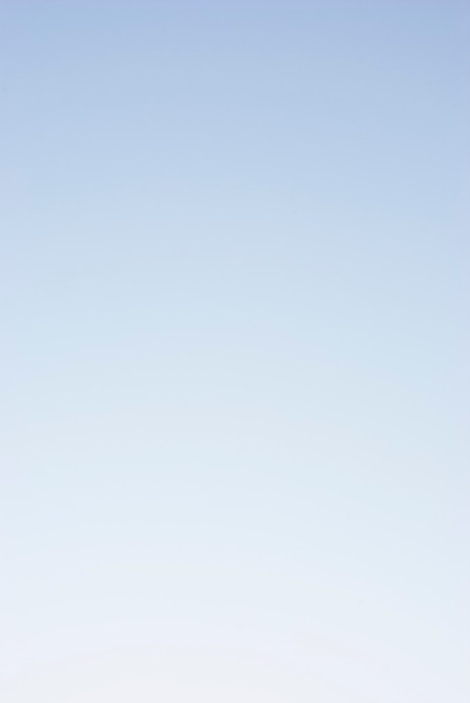 20210707-DSC_5786-Edit.colour change - Copy copy