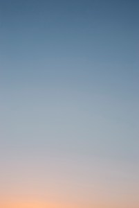 20210707-DSC_5787-Edit - Copy copy