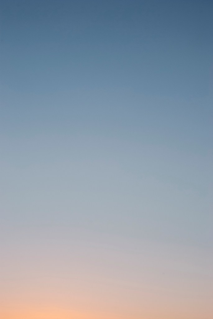 20210707-DSC_5787-Edit - Copy copy