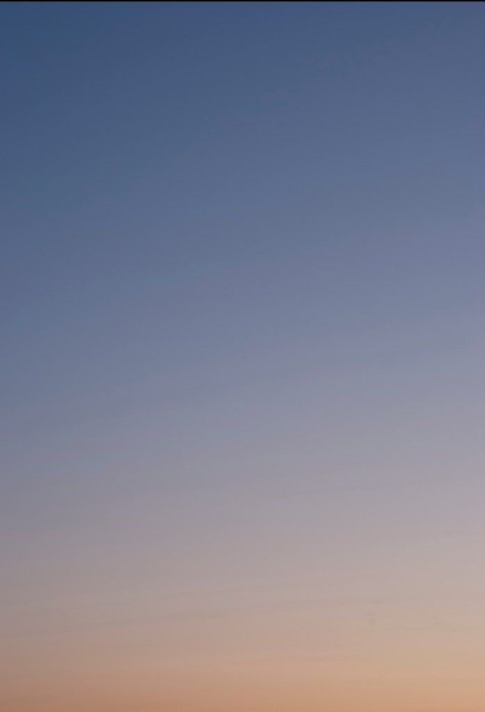 20210922-DSC_7239 - Copy copy