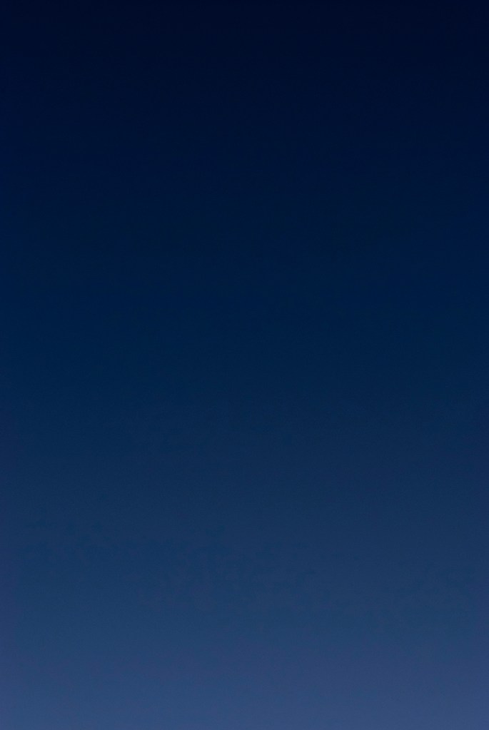 20211010-DSC_7676-Enhanced-Edit - Copy copy